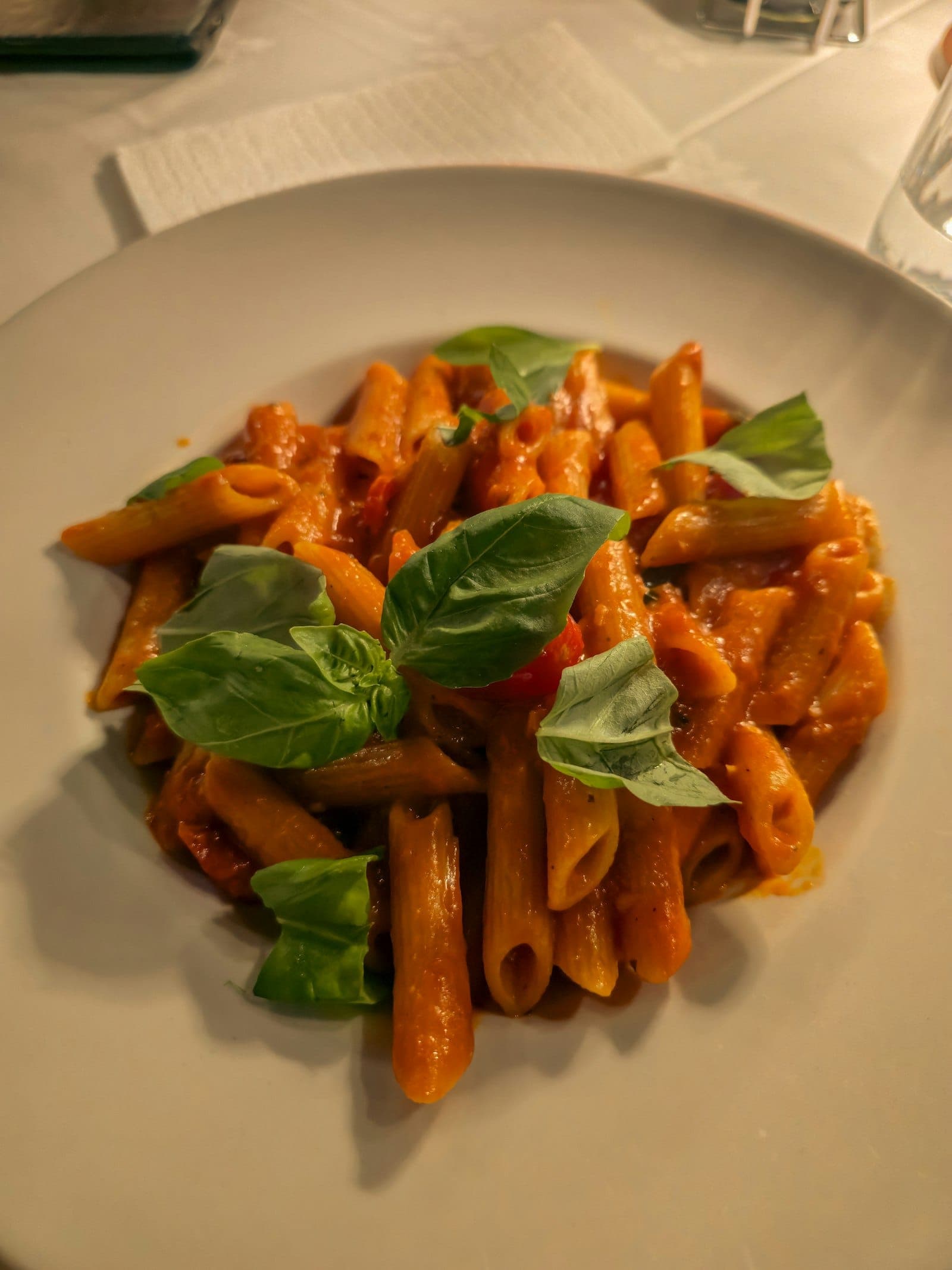 Penne in a spicy tomato sauce with fresh basil leaves